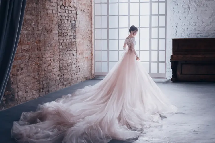 Summary of Top Most Expensive Wedding Dresses: Diamonds, Silk, and Platinum