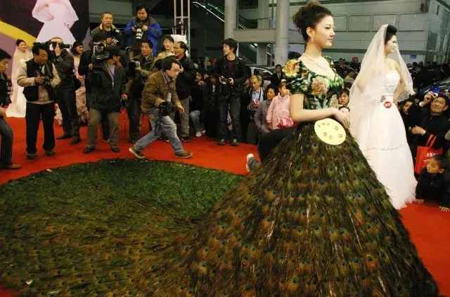 Vera Wang's Peacock Wedding Dress ($1.5 Million) (drcici'sblog)