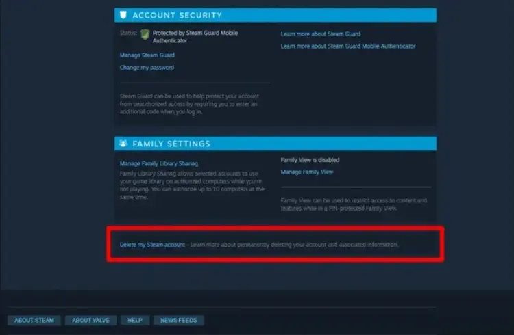 Why Delete Your Steam Account?