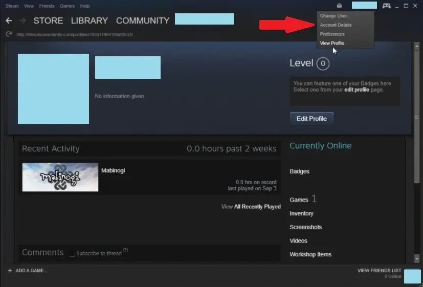 Log-In Your Personal Steam Account